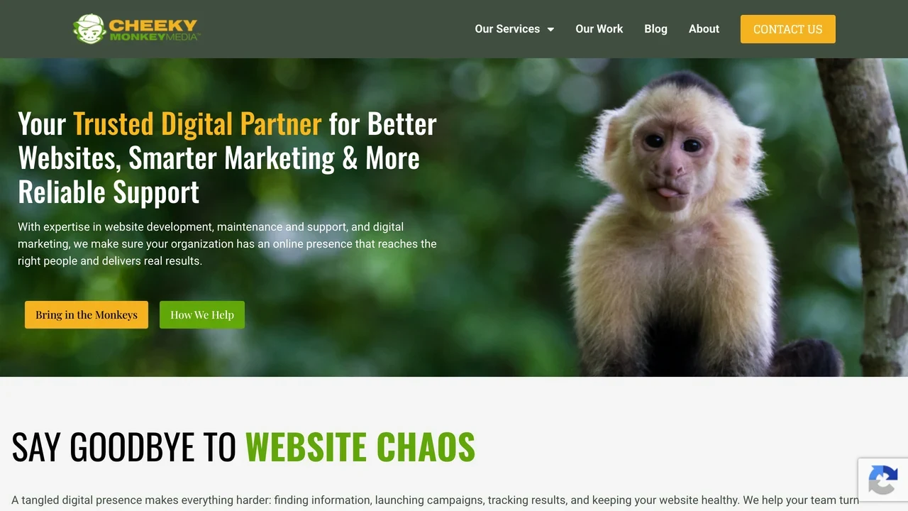 Screenshot of Cheeky Monkey Media website